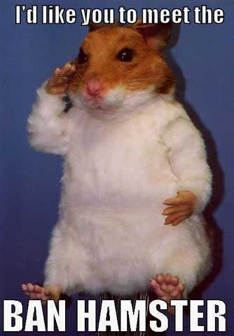 Name:  ban-hamster.jpg
Views: 26
Size:  19.6 KB