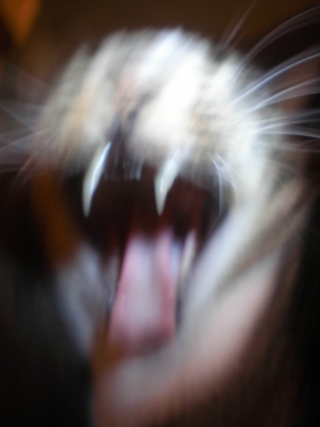 Name:  N5cwhMf.jpg
Views: 32
Size:  68.7 KB