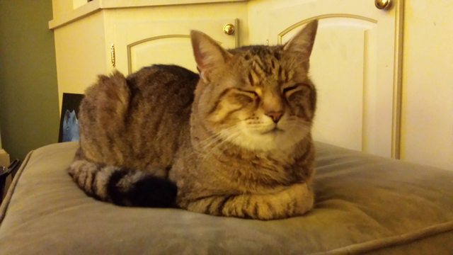 Name:  bLslj6Cl.jpg
Views: 41
Size:  31.7 KB