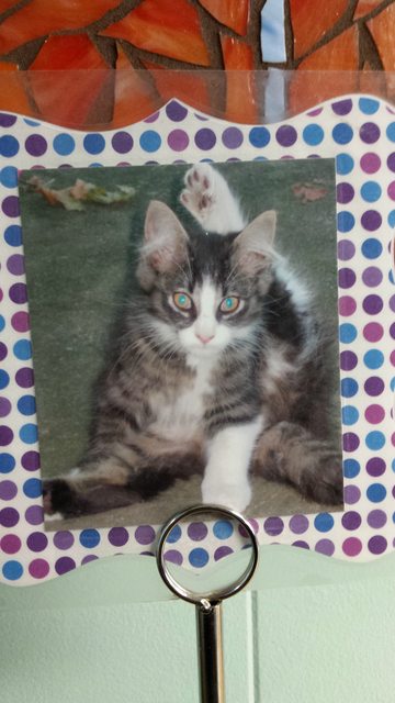 Name:  inygxcAl.jpg
Views: 41
Size:  47.9 KB