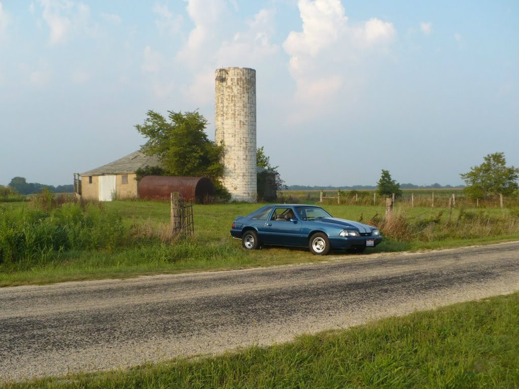 Name:  323397_272989129381026_100000098240803_1203055_8197020_o.jpg
Views: 133
Size:  152.0 KB