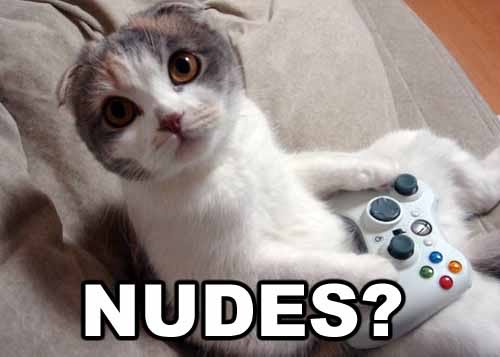 Name:  xbox360cat.jpg
Views: 50
Size:  21.1 KB