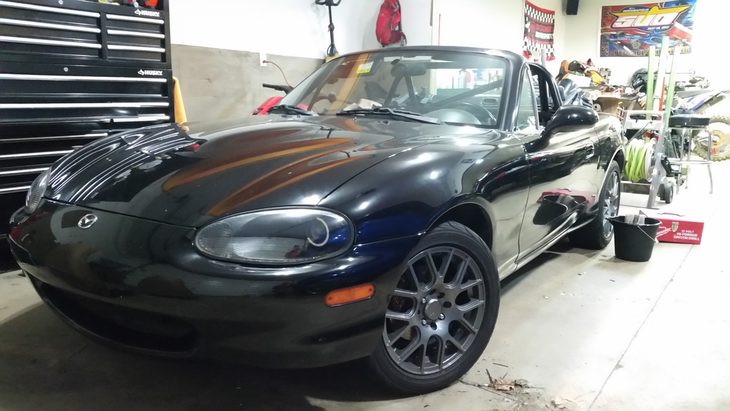 Name:  20170201_194742_zps7lrcfc2l.jpg
Views: 2629
Size:  205.5 KB