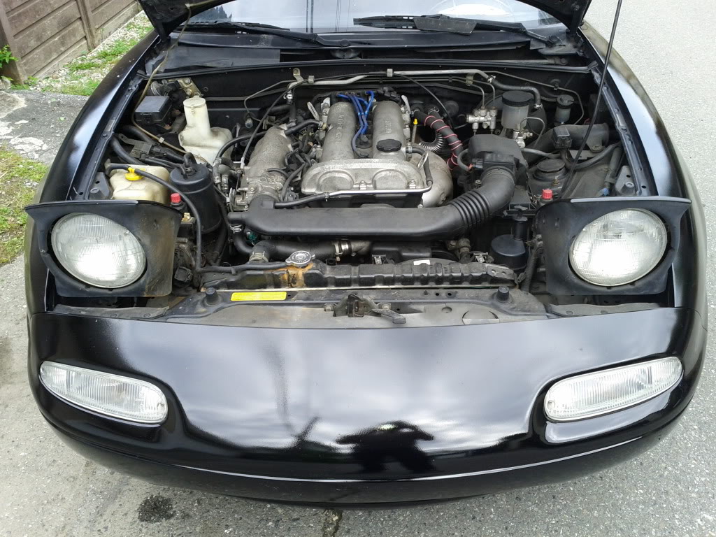 Name:  IMG_20110530_155657.jpg
Views: 79
Size:  187.2 KB