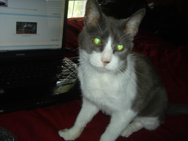 Name:  DSC07607.jpg
Views: 75
Size:  41.3 KB