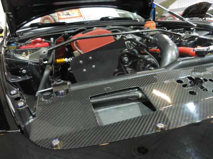 Name:  24904_388666756739_502766739_383162.jpg
Views: 105
Size:  76.2 KB