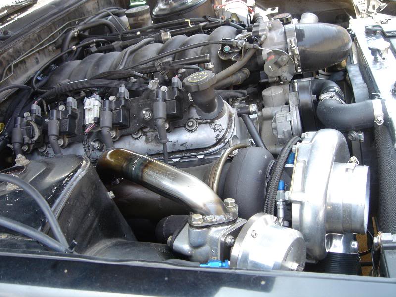 Name:  DSC05581.jpg
Views: 142
Size:  90.2 KB