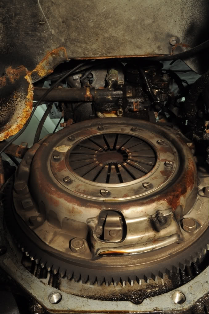 Name:  DSC_0193.jpg
Views: 224
Size:  136.5 KB