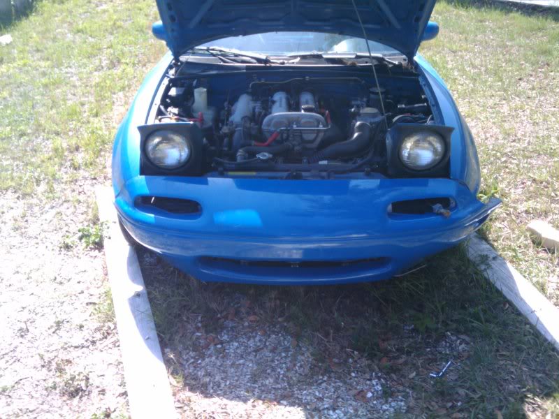 Name:  2010-05-02161335.jpg
Views: 142
Size:  92.2 KB