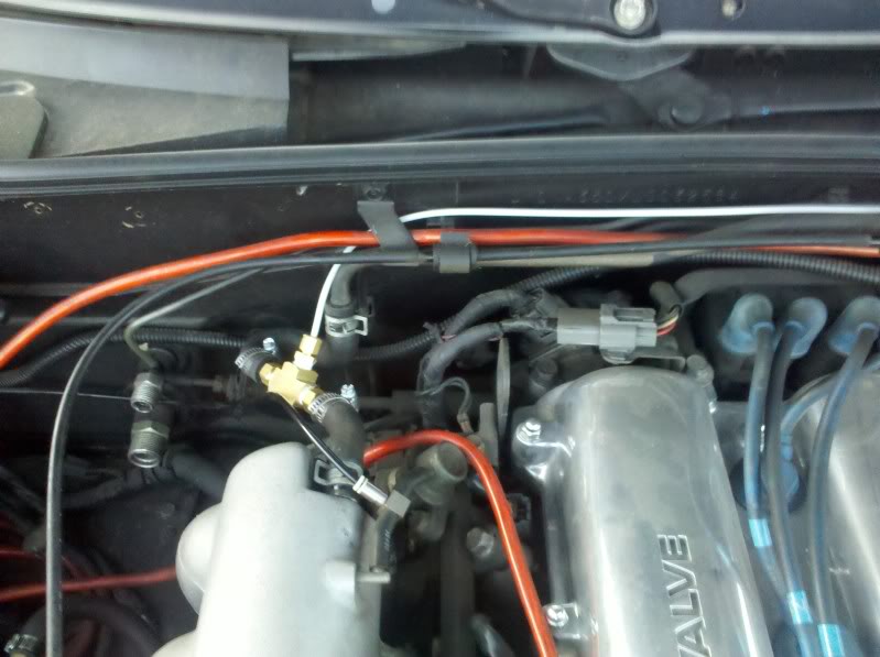 Name:  IMG_20101025_175321.jpg
Views: 63
Size:  90.0 KB