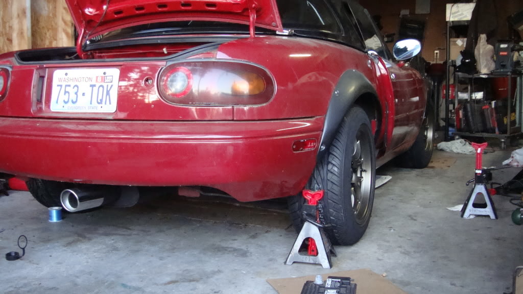 Name:  Nessa95003.jpg
Views: 80
Size:  114.3 KB