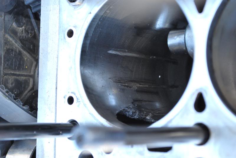 Name:  DSC_0525.jpg
Views: 84
Size:  50.8 KB