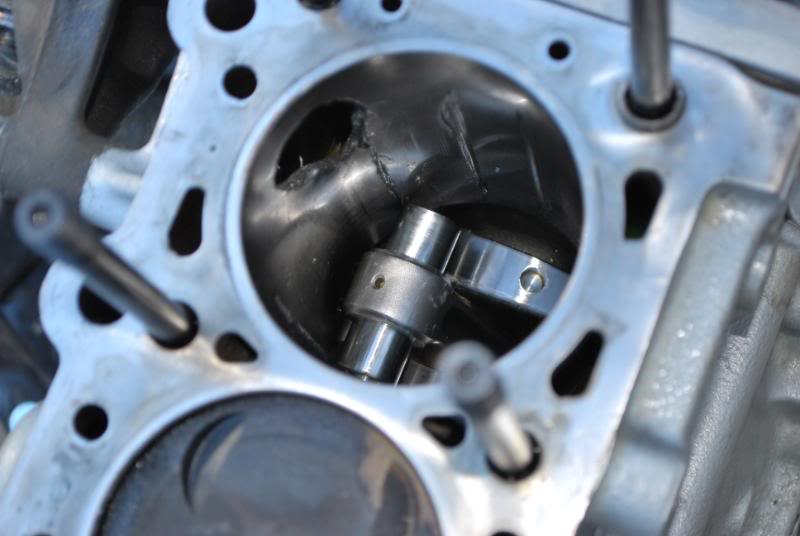 Name:  DSC_0530.jpg
Views: 100
Size:  51.0 KB