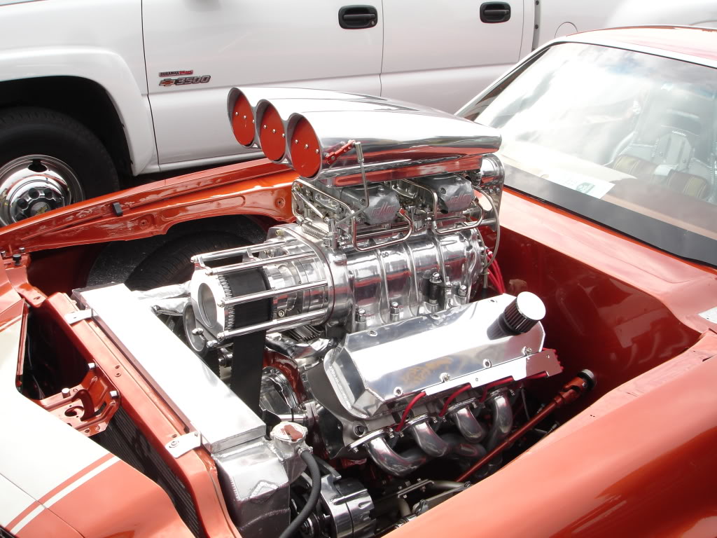 Name:  DSC06332.jpg
Views: 242
Size:  167.0 KB