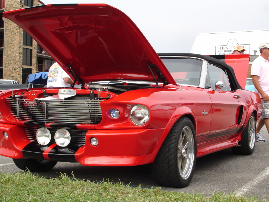 Name:  DSC06322.jpg
Views: 152
Size:  230.3 KB