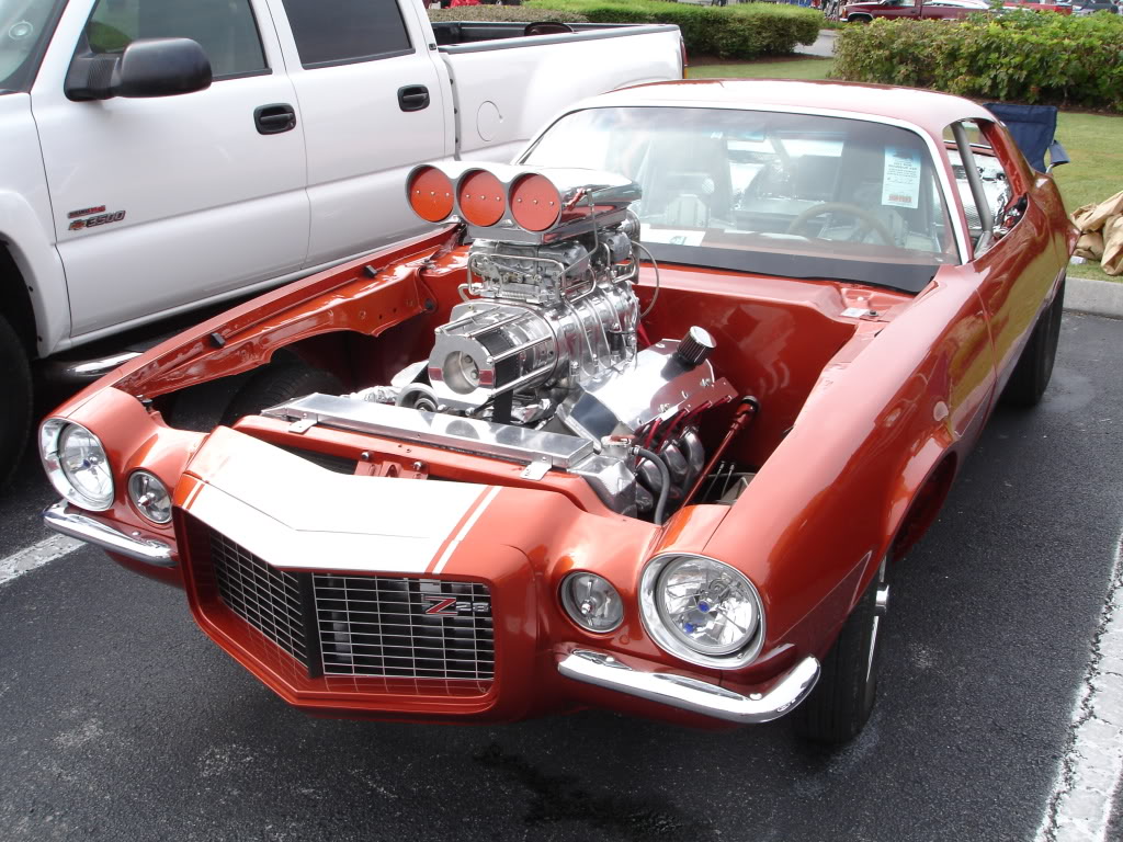 Name:  DSC06330.jpg
Views: 205
Size:  206.4 KB