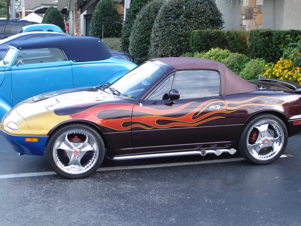 Name:  DSC06491.jpg
Views: 178
Size:  189.5 KB