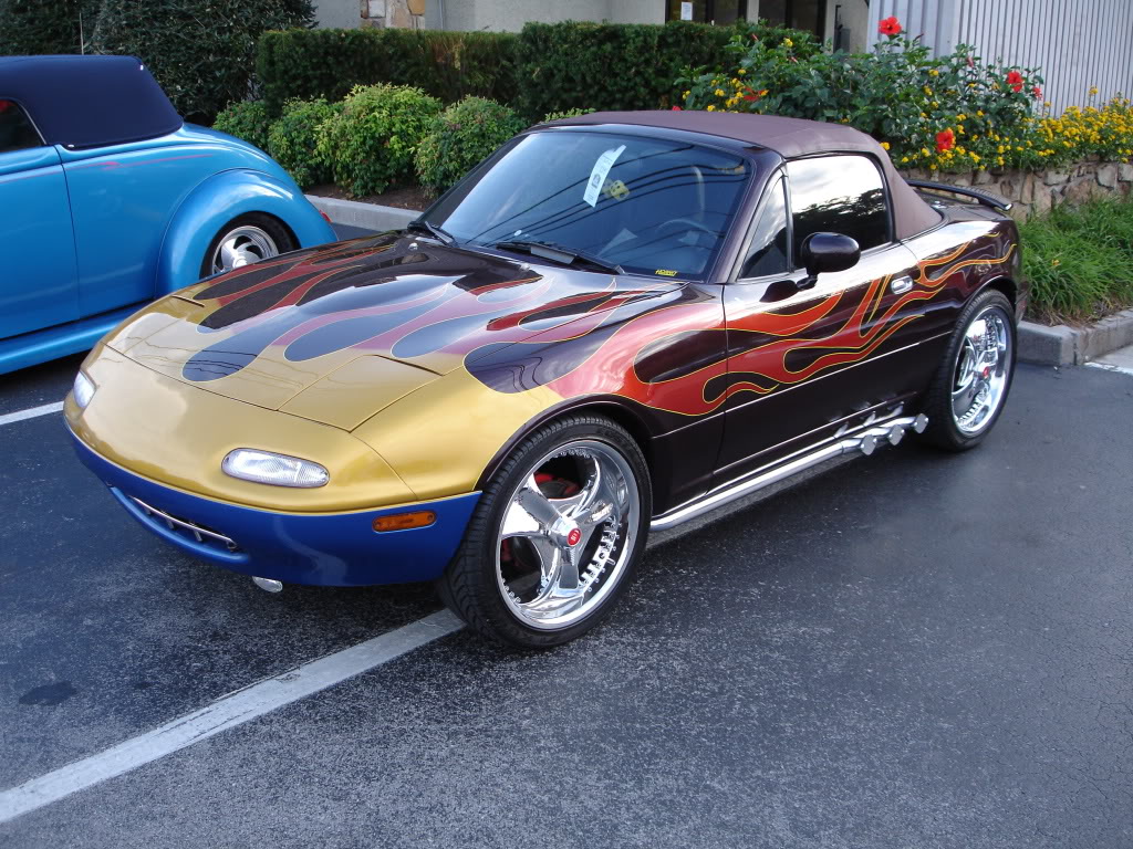 Name:  DSC06492.jpg
Views: 669
Size:  245.7 KB