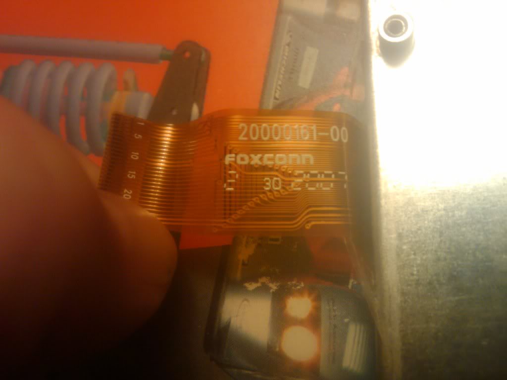 Name:  2010-08-10213252.jpg
Views: 785
Size:  42.7 KB