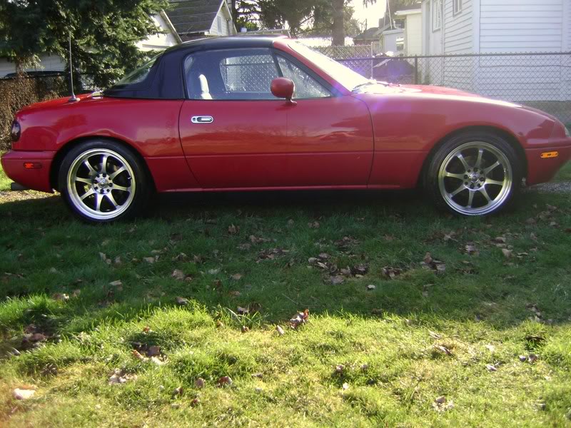 Name:  DSC00790.jpg
Views: 975
Size:  144.9 KB