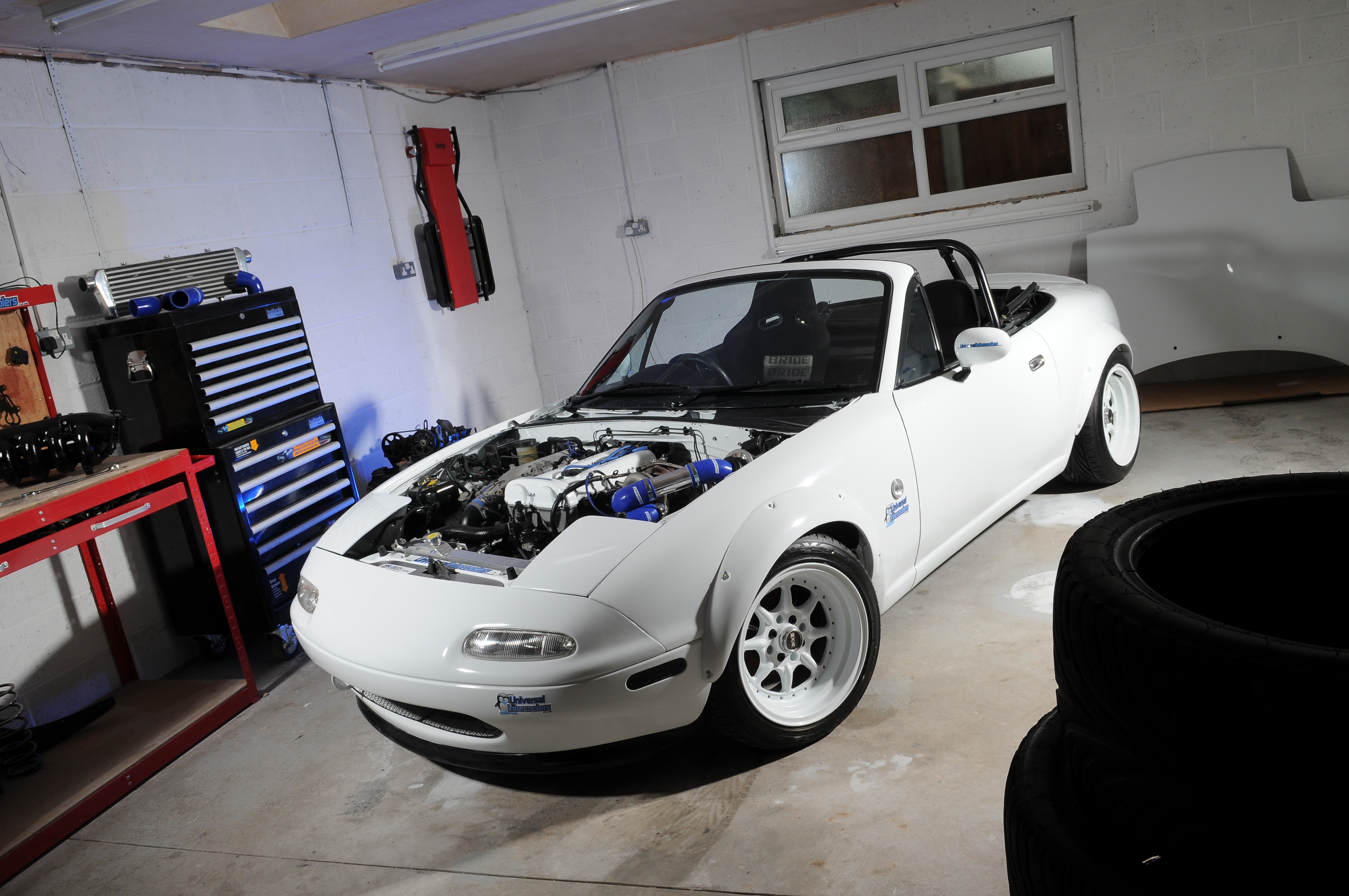 Name:  DSC_0566.jpg
Views: 250
Size:  4.97 MB