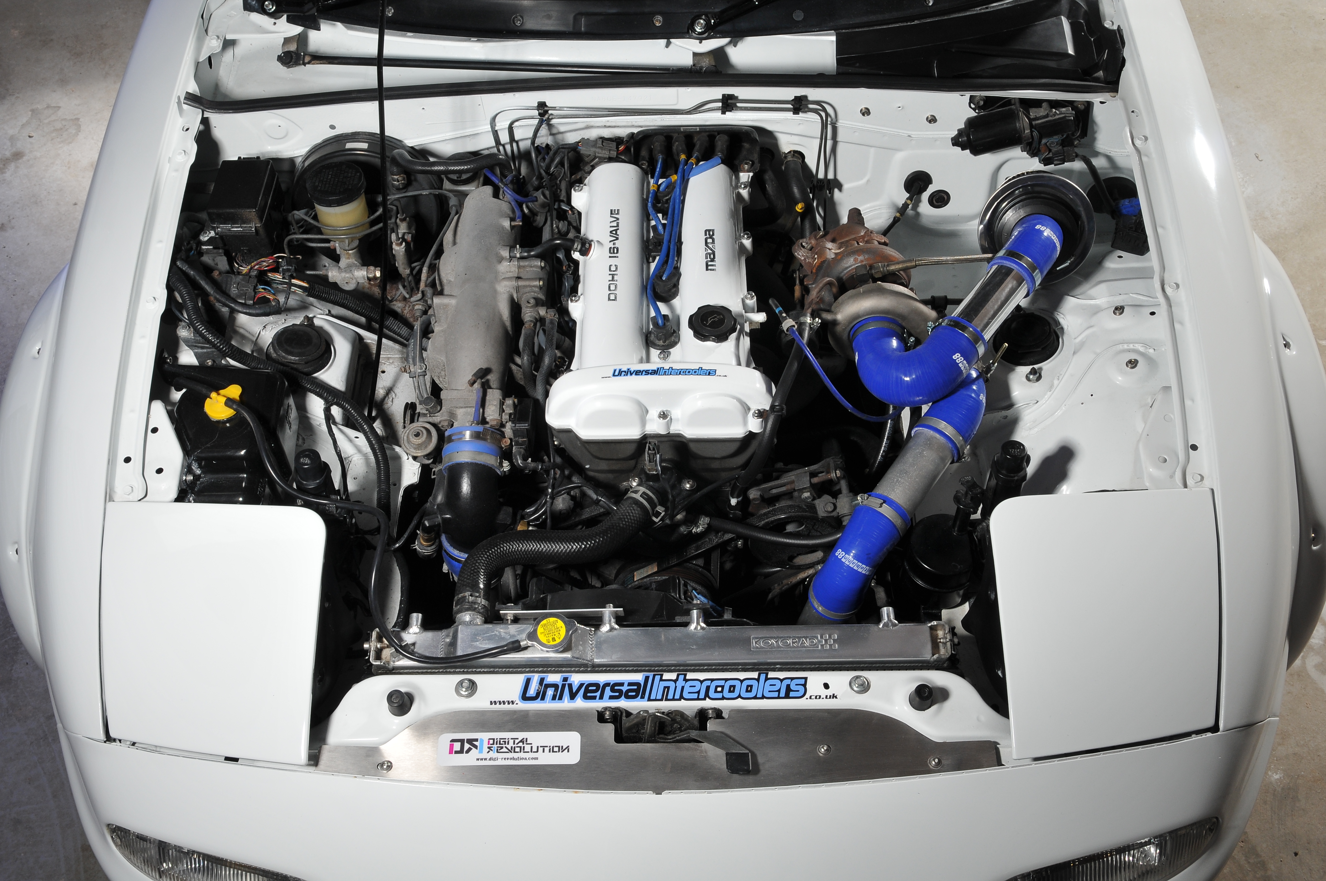 Name:  DSC_0521.jpg
Views: 210
Size:  5.13 MB