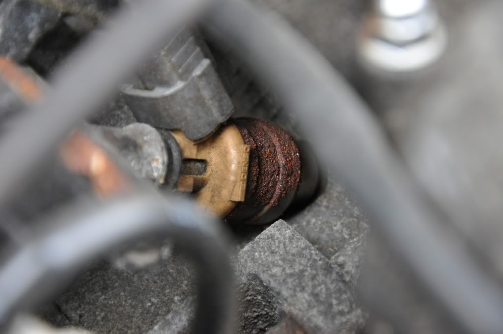 Name:  DSC_0194.jpg
Views: 70
Size:  54.7 KB