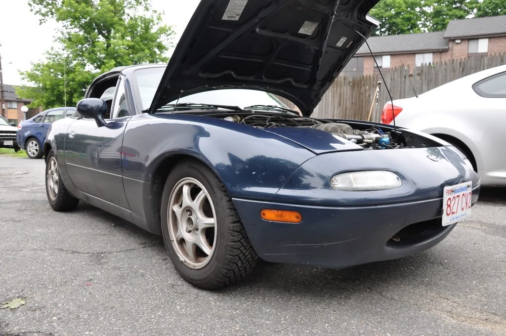 Name:  DSC_0204.jpg
Views: 55
Size:  171.6 KB