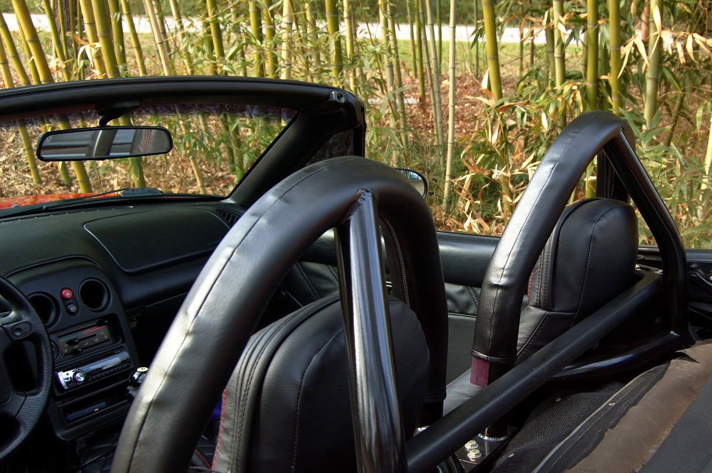 Name:  Cane5-1.jpg
Views: 442
Size:  294.0 KB