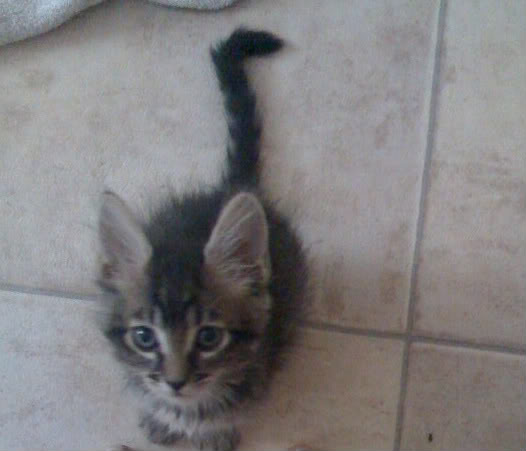 Name:  IMG_0113.jpg
Views: 72
Size:  28.1 KB