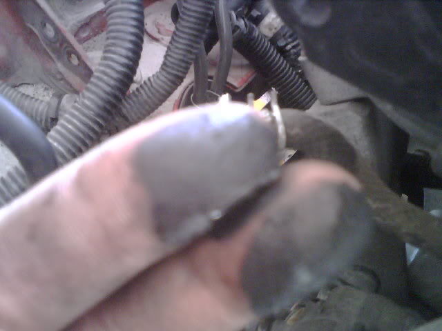 Name:  IMG00244.jpg
Views: 52
Size:  32.6 KB