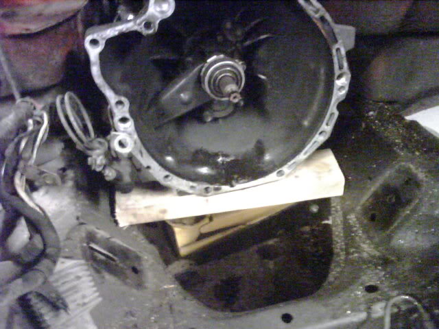 Name:  IMG00254.jpg
Views: 69
Size:  57.2 KB