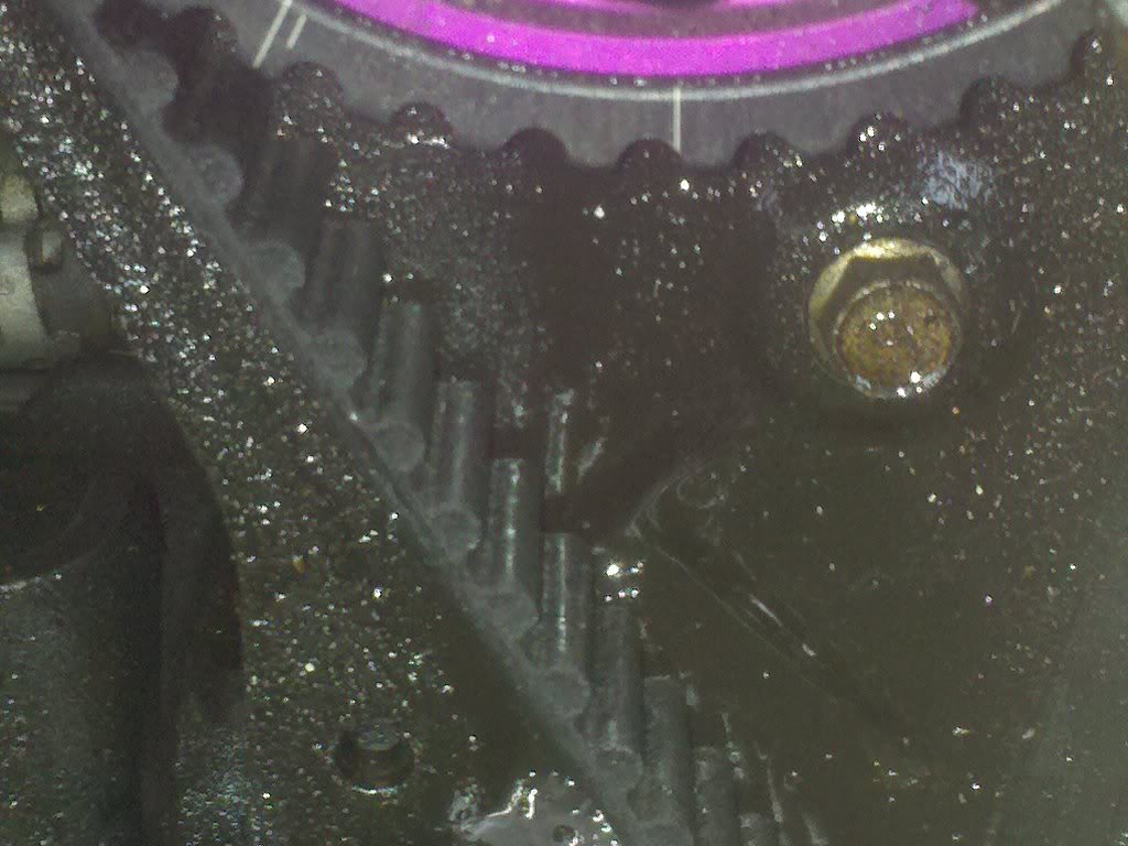 Name:  2010-04-15082026.jpg
Views: 150
Size:  115.4 KB