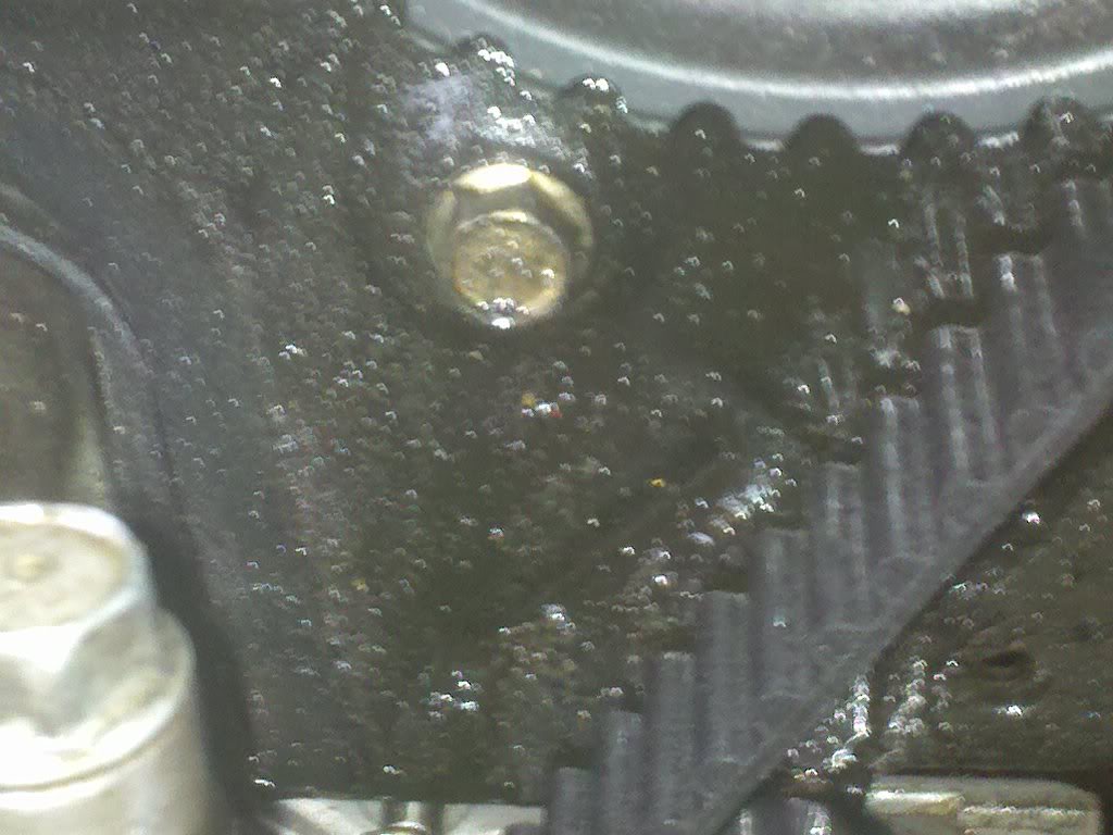 Name:  2010-04-15082033.jpg
Views: 182
Size:  114.4 KB