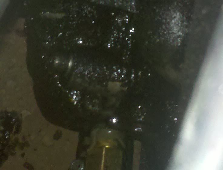 Name:  2010-04-15081932.jpg
Views: 120
Size:  47.0 KB