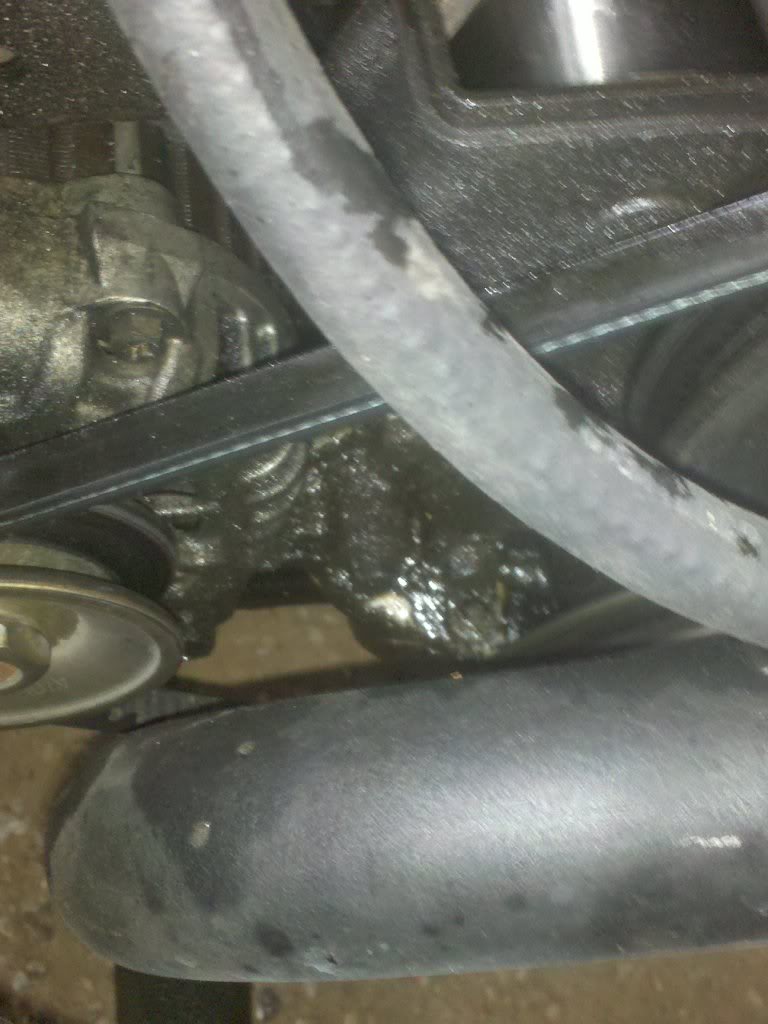 Name:  2010-04-15081917.jpg
Views: 148
Size:  98.7 KB