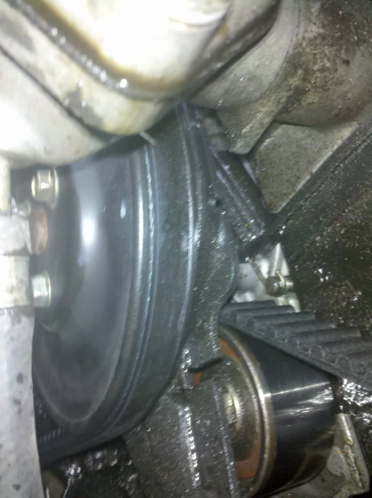 Name:  2010-04-15082233.jpg
Views: 160
Size:  105.0 KB