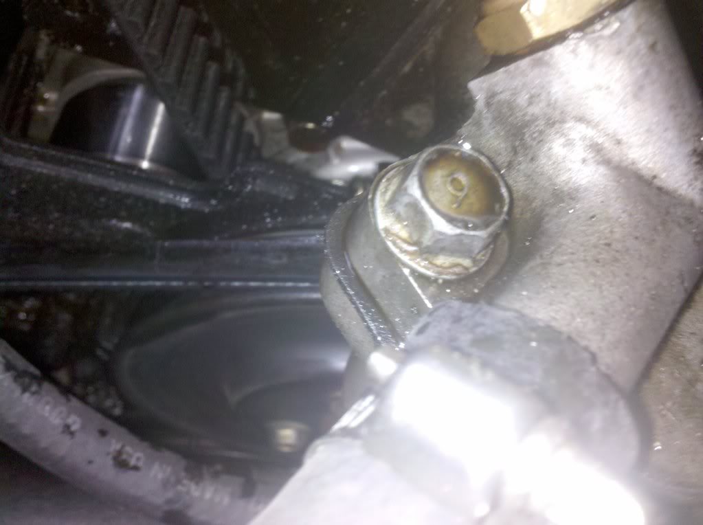 Name:  2010-04-15082225.jpg
Views: 211
Size:  77.1 KB