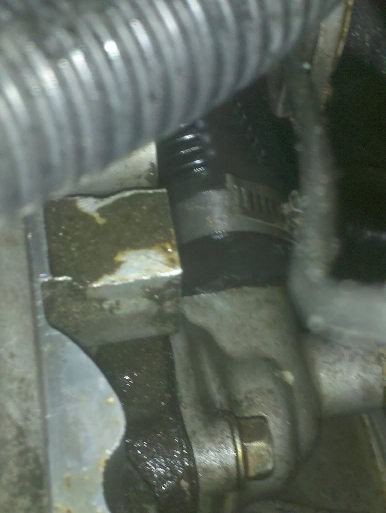 Name:  2010-04-15082521.jpg
Views: 176
Size:  76.2 KB