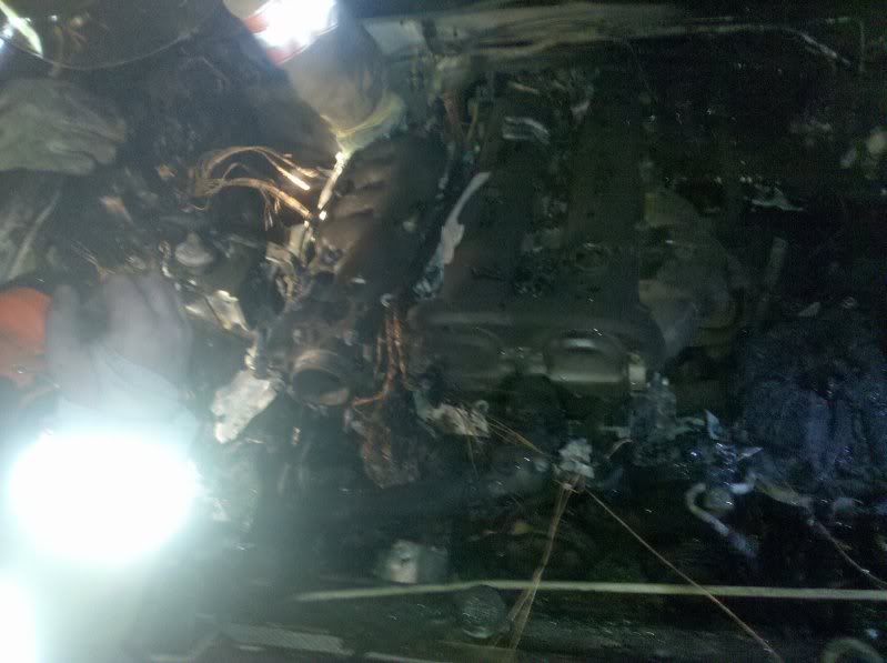 Name:  2010-04-08213510.jpg
Views: 65
Size:  67.5 KB