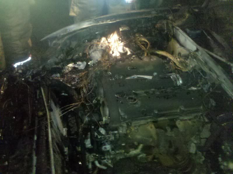 Name:  2010-04-08213709.jpg
Views: 69
Size:  86.8 KB