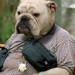 Name:  weird1.jpg
Views: 44
Size:  17.2 KB