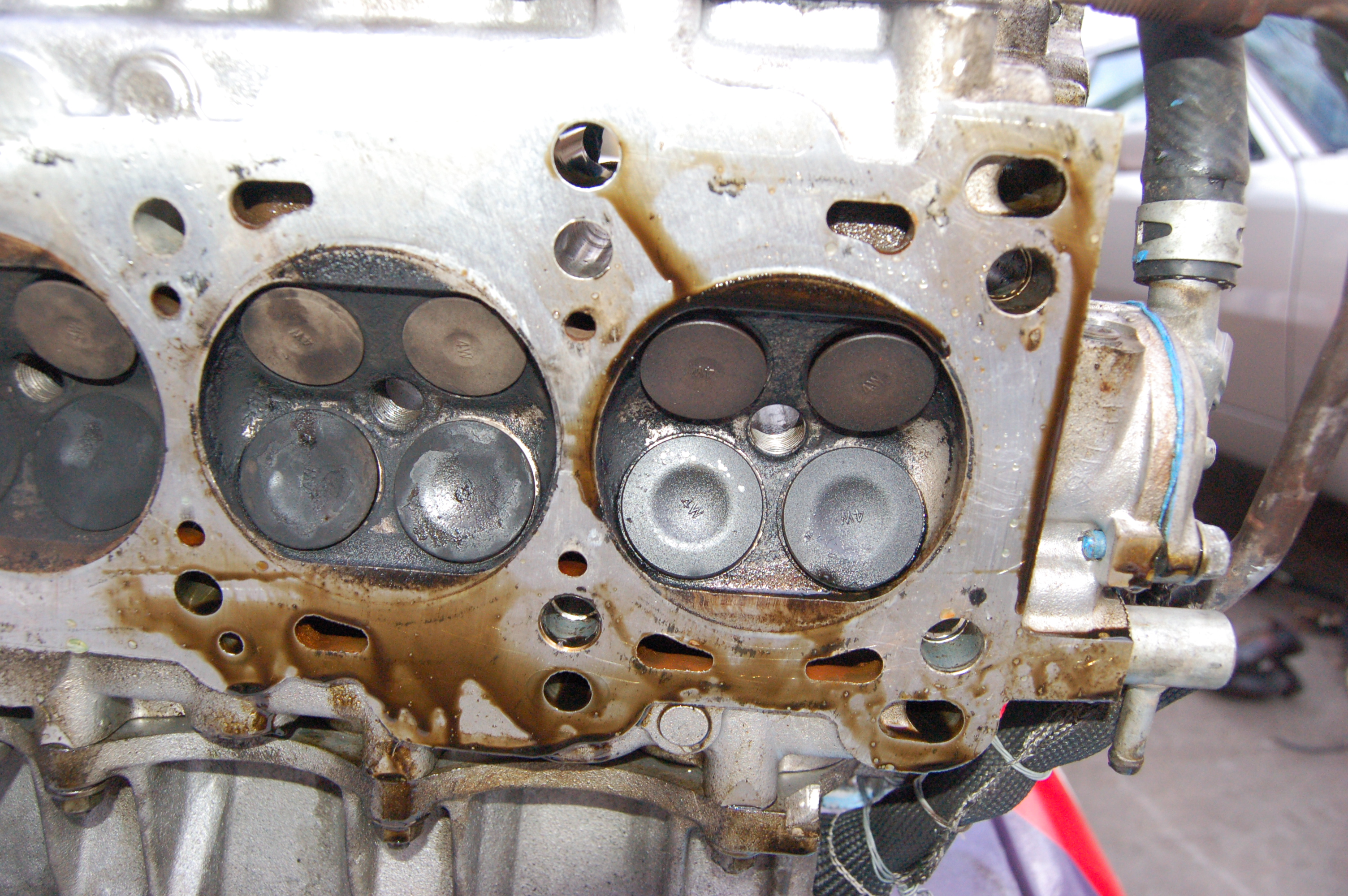 Name:  DSC_0197.jpg
Views: 197
Size:  2.71 MB