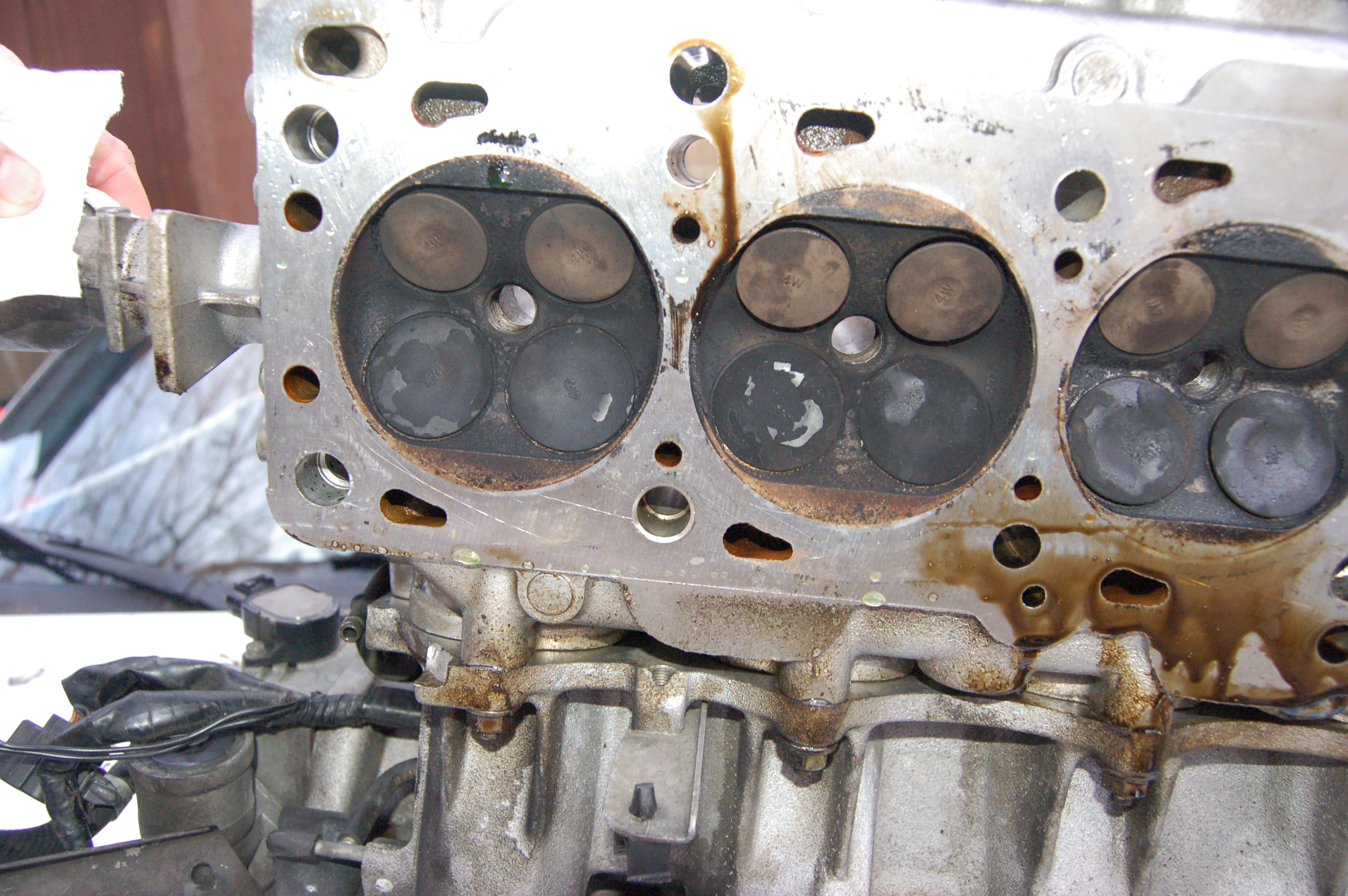 Name:  DSC_0196.jpg
Views: 204
Size:  2.71 MB