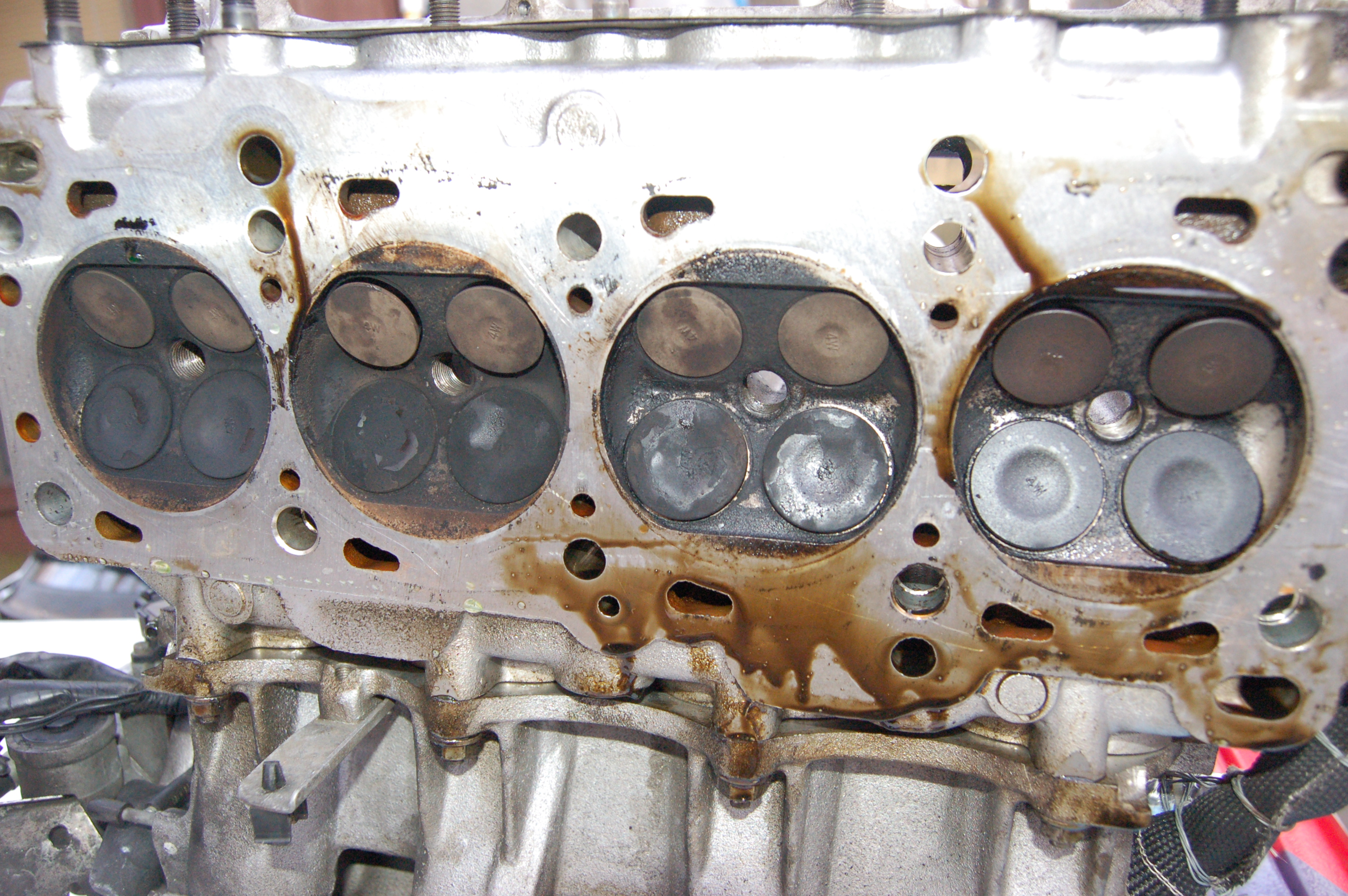 Name:  DSC_0195.jpg
Views: 191
Size:  2.73 MB