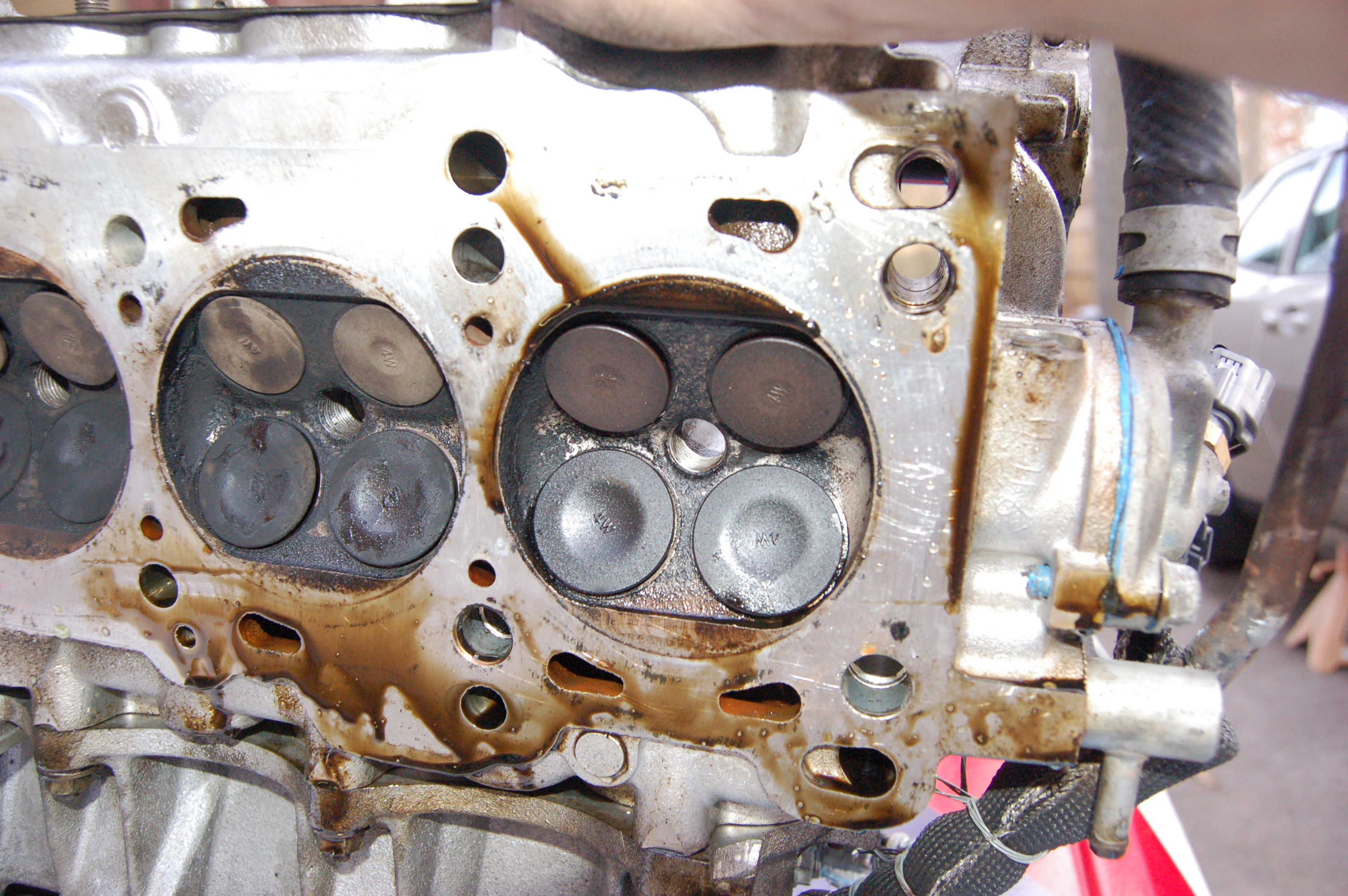 Name:  DSC_0194.jpg
Views: 205
Size:  2.73 MB