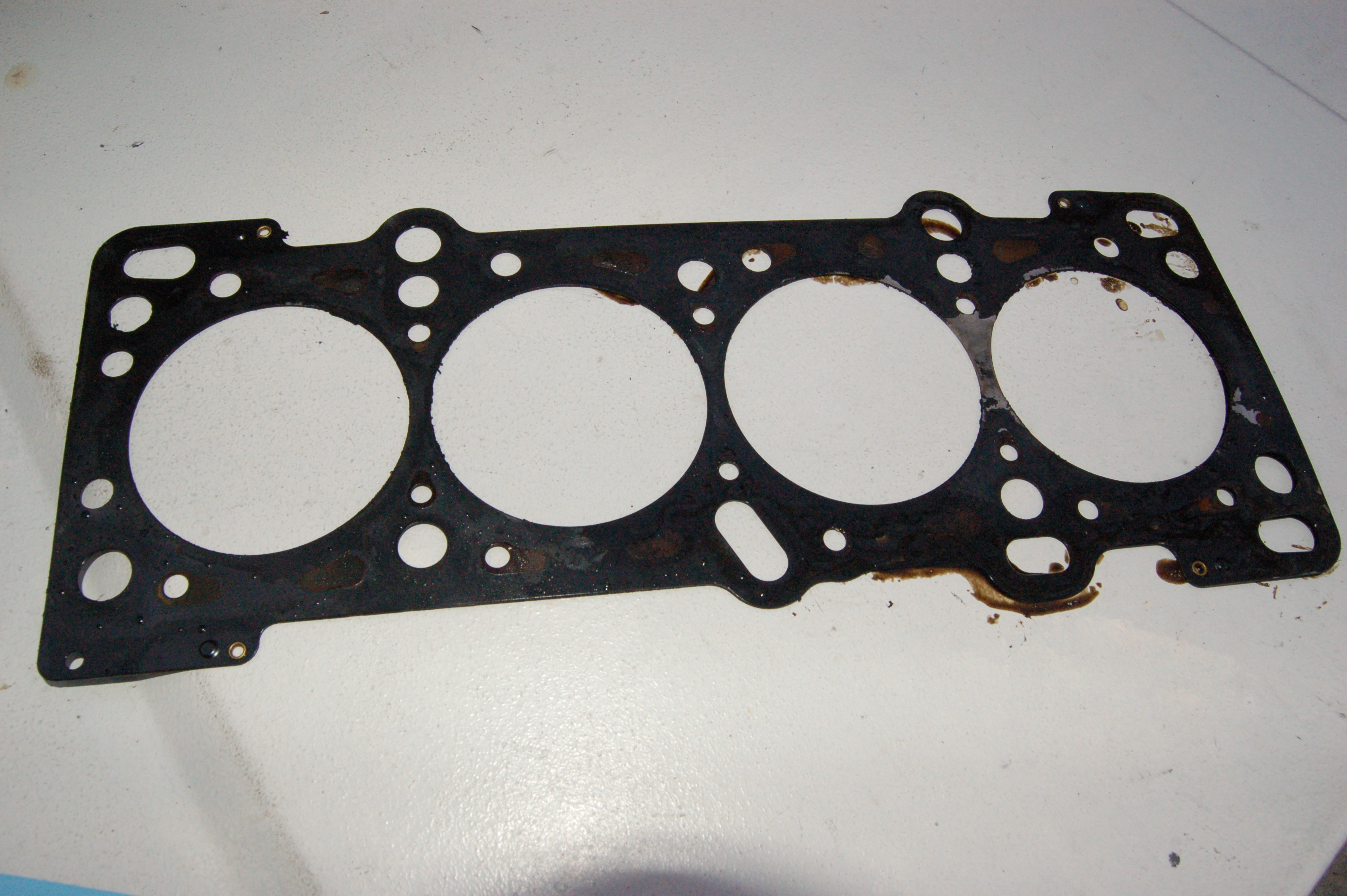 Name:  DSC_0192.jpg
Views: 222
Size:  2.81 MB