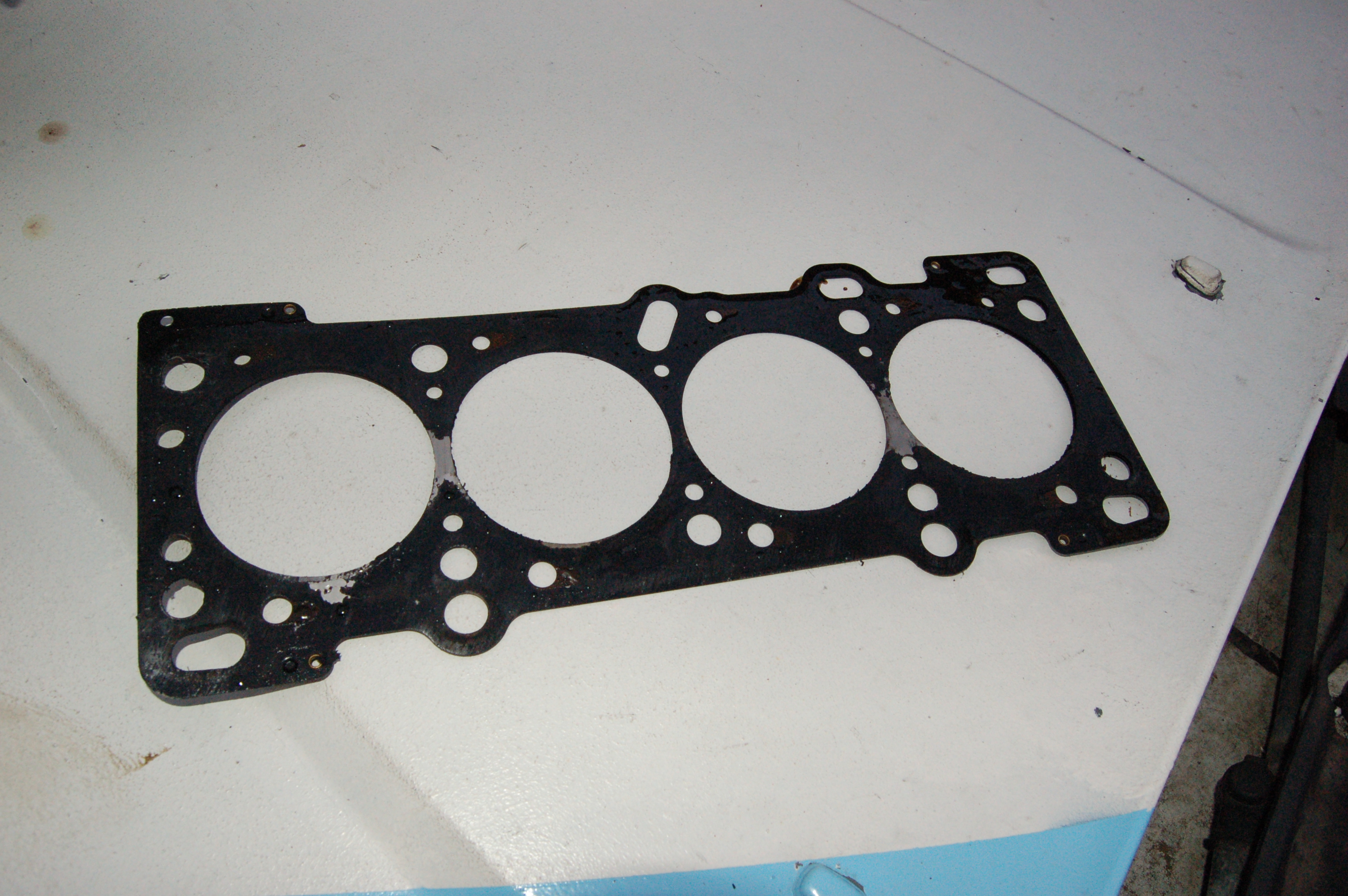 Name:  DSC_0191.jpg
Views: 203
Size:  2.88 MB