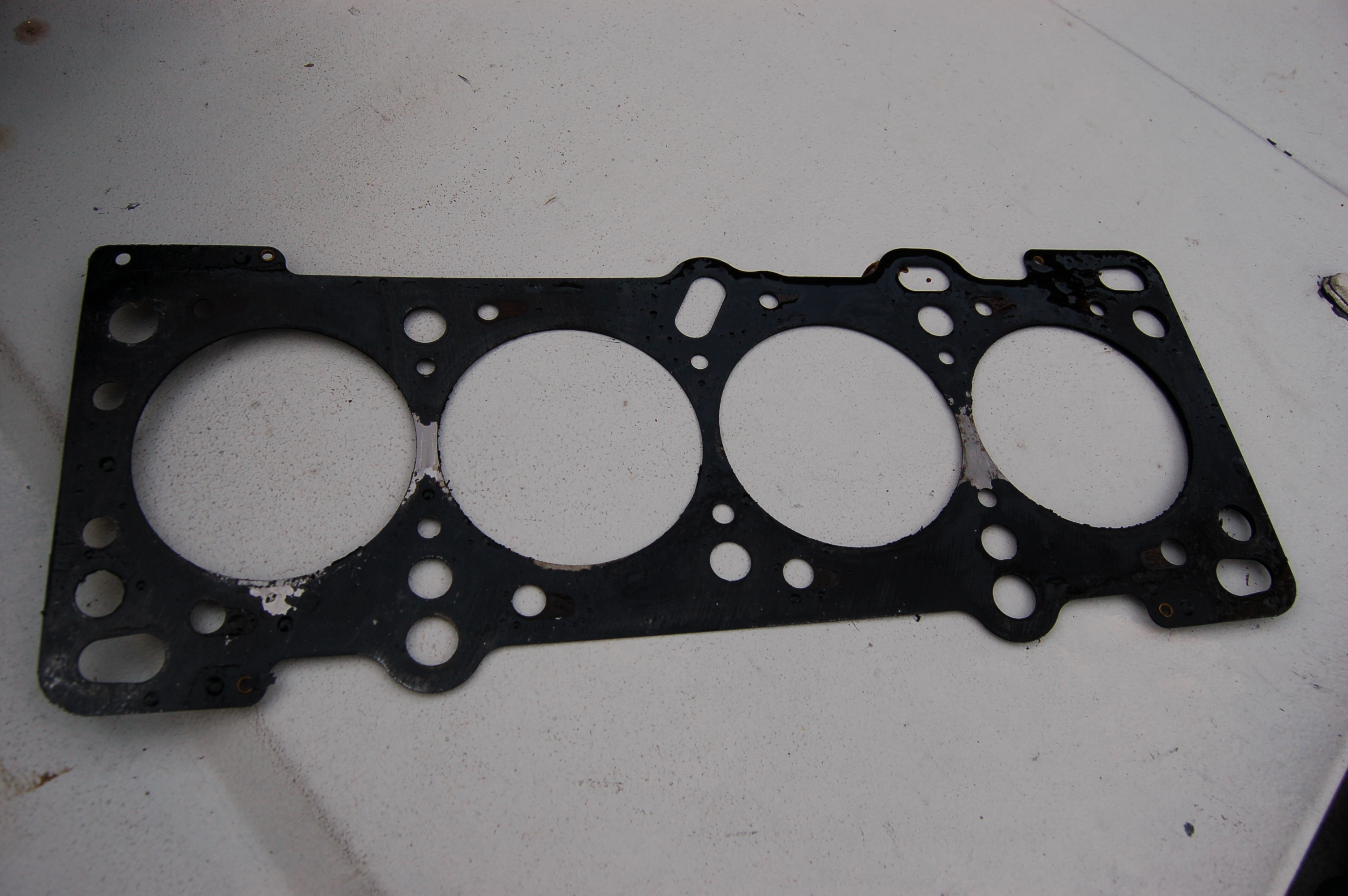 Name:  DSC_0190-1.jpg
Views: 229
Size:  2.42 MB