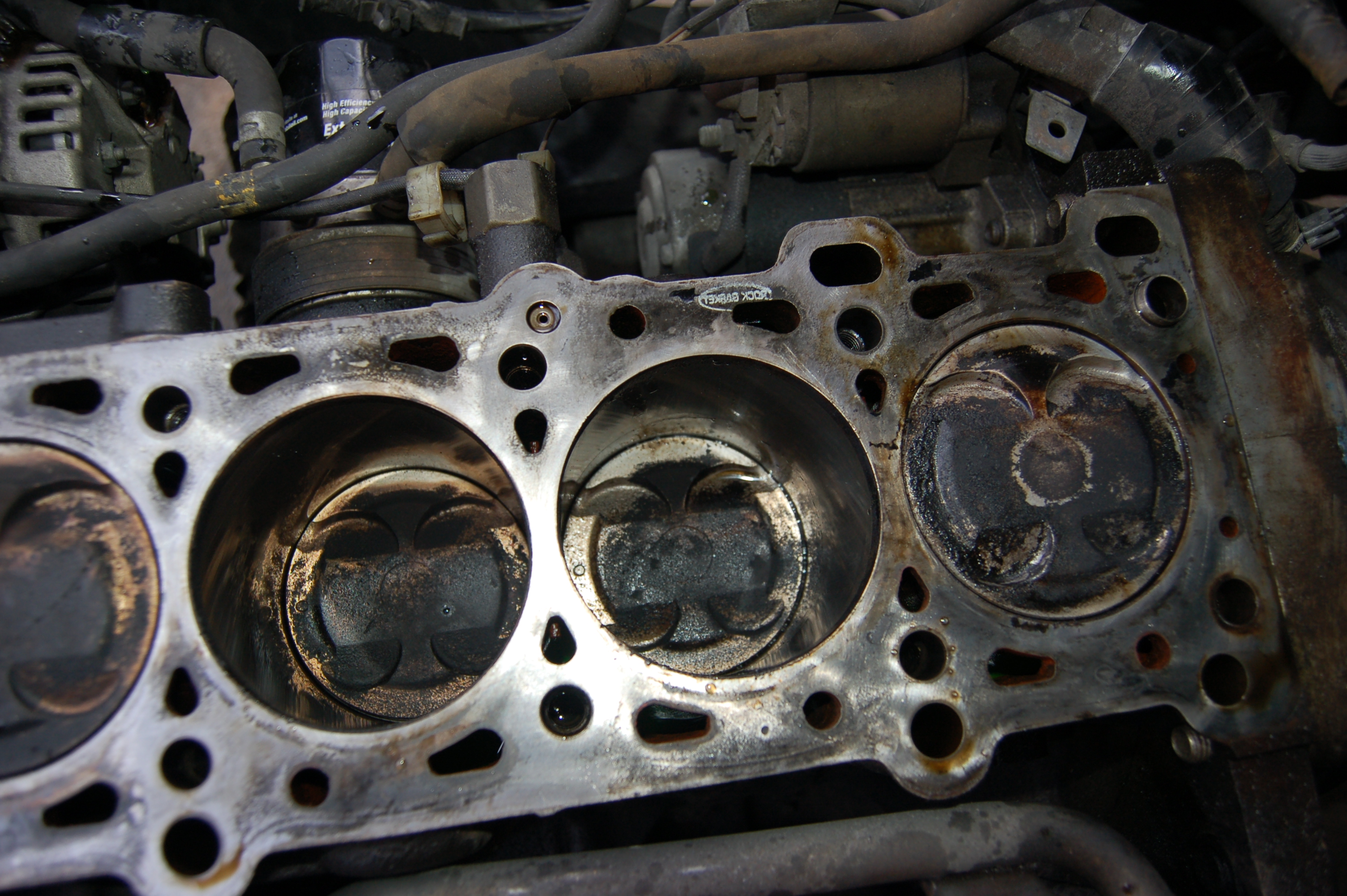 Name:  DSC_0189.jpg
Views: 217
Size:  2.82 MB